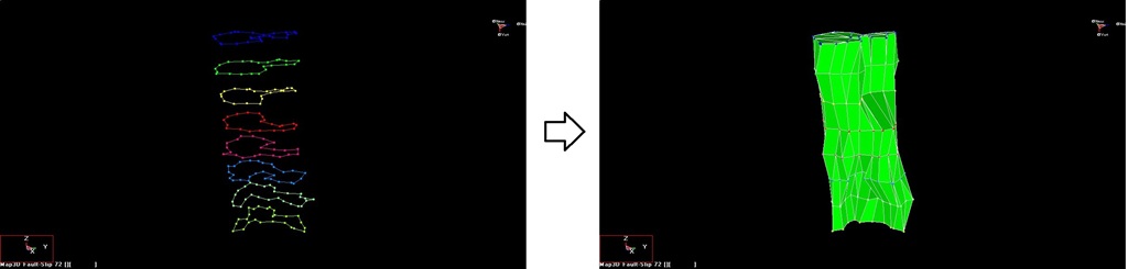 FFLoop_Model_Buidling_Using_Window_Option_(7a.pnt)
